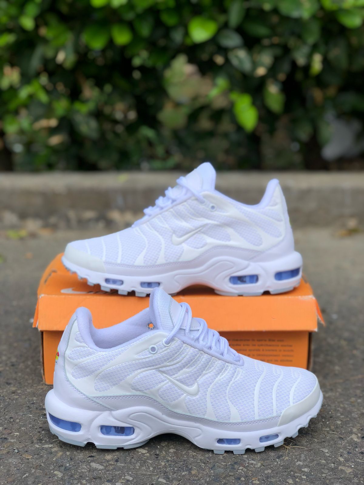 Nike Air Max Plus TN