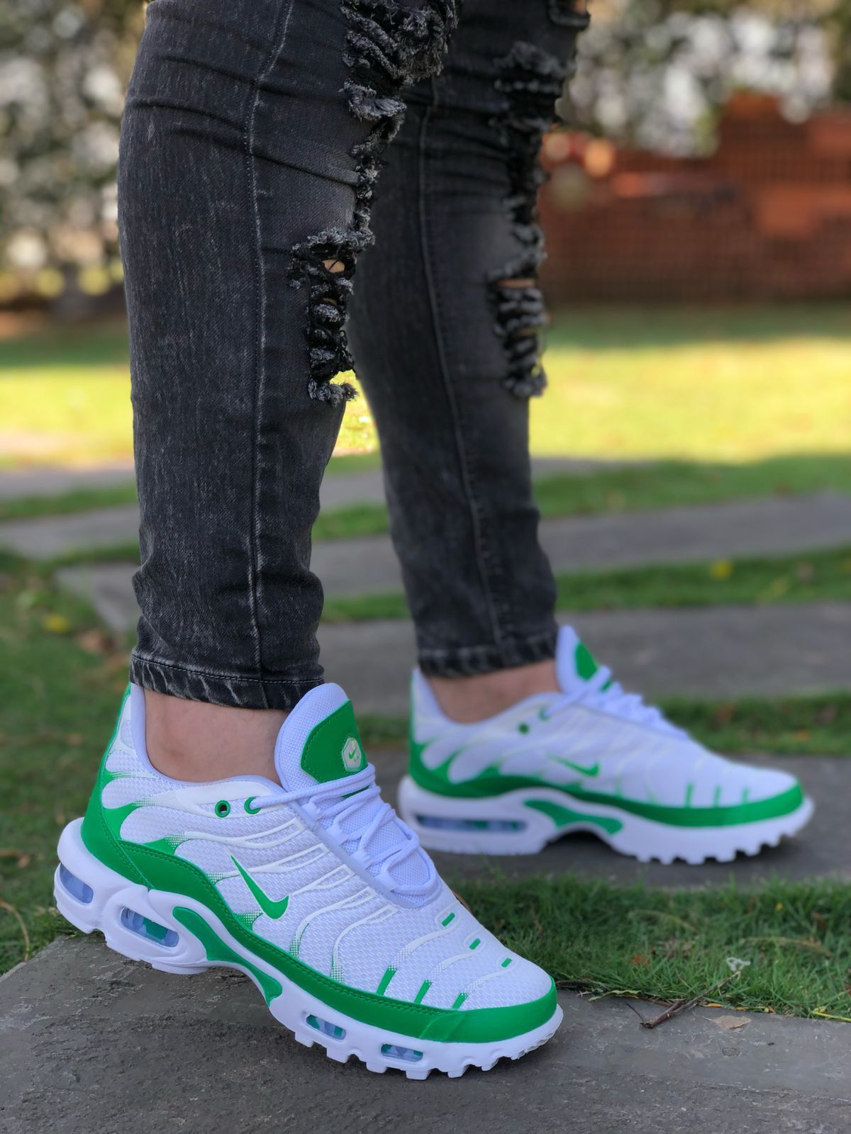 Nike Air Max Plus TN